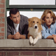 And now we’re bummed out about the thought that Murray The Dog is definitely dead by now.